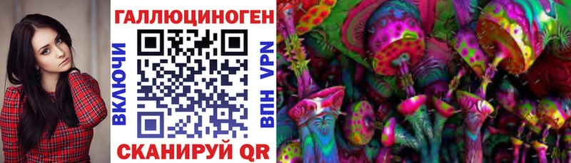 магазин  наркотиков  Инта  Галлюциногенные грибы прущие грибы 